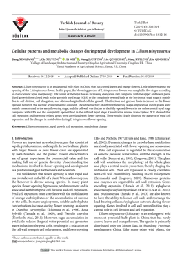 Cellular Patterns and Metabolic Changes During Tepal Development in Lilium Tsingtauense