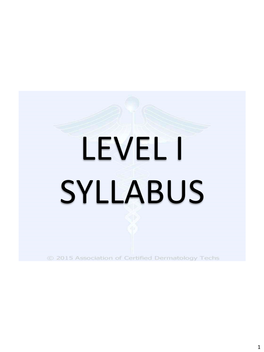 Level I Syllabus