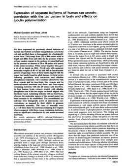 Expression of Separate Isoforms of Human Tau Protein: Correlation with the Tau Pattern in Brain and Effects on Tubulin Polymerization