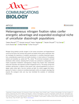 Heterogeneous Nitrogen Fixation Rates Confer Energetic Advantage And