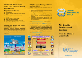 Air Quality Products and Services from the Global to Urban Scales