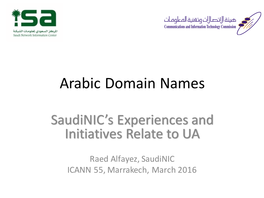 Arabic Domain Names