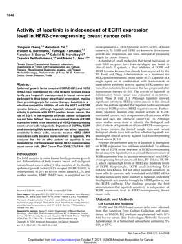 Activity of Lapatinib Is Independent of EGFR Expression Level in HER2-Overexpressing Breast Cancer Cells