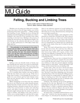 Felling, Bucking and Limbing Trees