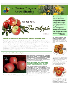 An Old Rose: the Apple