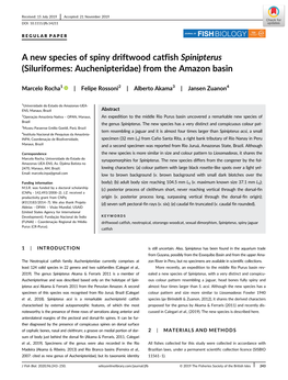 A New Species of Spiny Driftwood Catfish Spinipterus (Siluriformes: Auchenipteridae) from the Amazon Basin