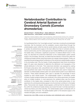 Vertebrobasilar Contribution to Cerebral Arterial System of Dromedary Camels (Camelus Dromedarius)