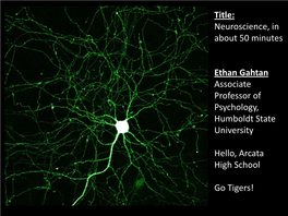 Title: Neuroscience, in About 50 Minutes Ethan Gahtan Associate Professor of Psychology, Humboldt State University Hello, Arcata