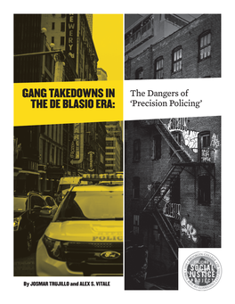 Gang Takedowns in the De Blasio Era