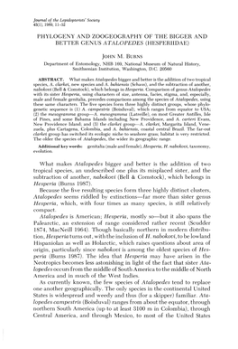 PHYLOGENY and ZOOGEOGRAPHY of the BIGGER and BETTER GENUS at ALOPEDES (HESPERIIDAE) What Makes Atalopedes Bigger and Better Is T