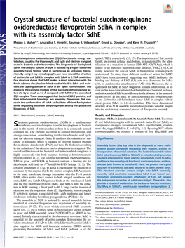 Crystal Structure of Bacterial Succinate:Quinone Oxidoreductase Flavoprotein Sdha in Complex with Its Assembly Factor Sdhe