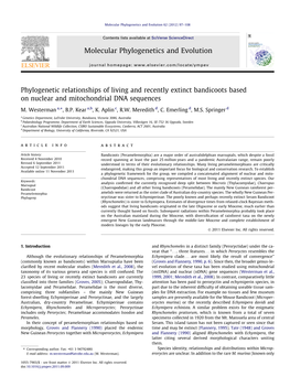 Phylogenetic Relationships of Living and Recently Extinct Bandicoots Based on Nuclear and Mitochondrial DNA Sequences ⇑ M