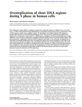 Overreplication of Short DNA Regions During S Phase in Human Cells