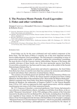 5. the Pesciara-Monte Postale Fossil-Lagerstätte: 2. Fishes and Other Vertebrates