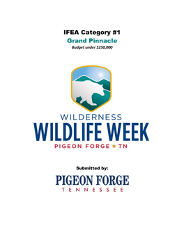 IFEA Category #1 Grand Pinnacle Budget Under $250,000