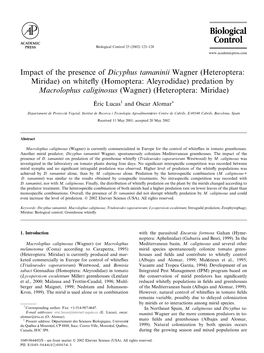Impact of the Presence of Dicyphus Tamaninii Wagner