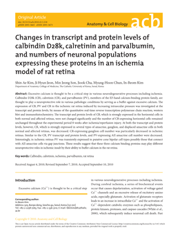 Changes in Transcript and Protein Levels of Calbindin D28k, Calretinin