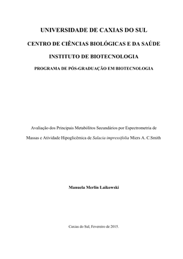 Dissertacao Manuela Merlin Laikowski.Pdf (2.071Mb)