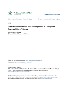 Ultrastructure of Mitosis and Gametogenesis in Cladophora Flexuosa (Dillwyn) Harvey