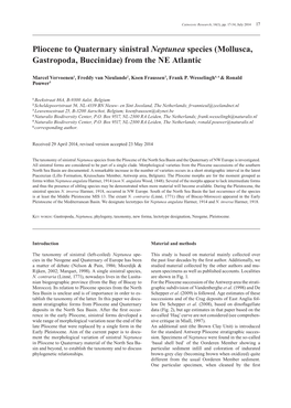 Pliocene to Quaternary Sinistral Neptunea Species (Mollusca, Gastropoda, Buccinidae) from the NE Atlantic