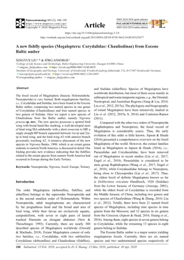 A New Fishfly Species (Megaloptera: Corydalidae: Chauliodinae) from Eocene Baltic Amber