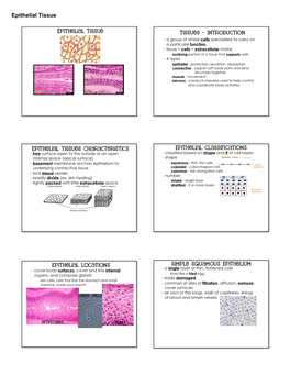 Epithelial Tissue