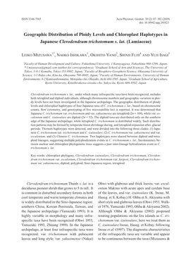 Geographic Distribution of Ploidy Levels and Chloroplast Haplotypes in Japanese Clerodendrum Trichotomum S