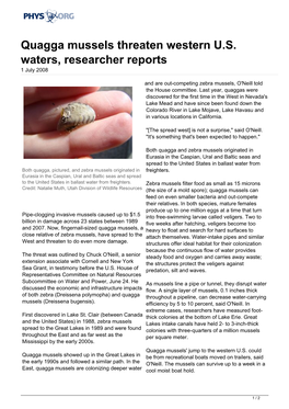 Quagga Mussels Threaten Western U.S. Waters, Researcher Reports 1 July 2008