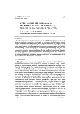 Cytoplasmic Streaming and Microtubules in the Coenocytic Marine Alga, Caulerpa Prolifera