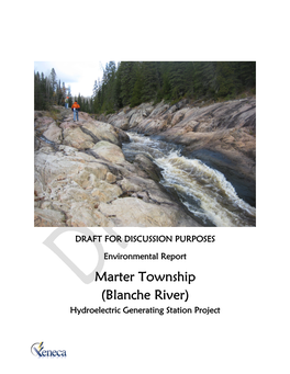 Marter Township (Blanche River) Hydroelectric Generating Station Project