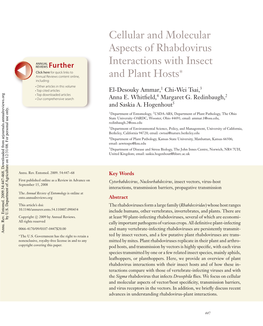 Cellular and Molecular Aspects of Rhabdovirus Interactions with Insect and Plant Hosts∗