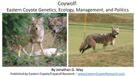 Coywolf: Eastern Coyote Genetics, Ecology, Management, and Politics