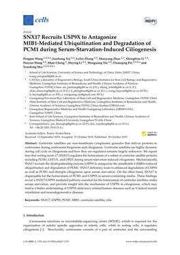 SNX17 Recruits USP9X to Antagonize MIB1-Mediated Ubiquitination and Degradation of PCM1 During Serum-Starvation-Induced Ciliogenesis