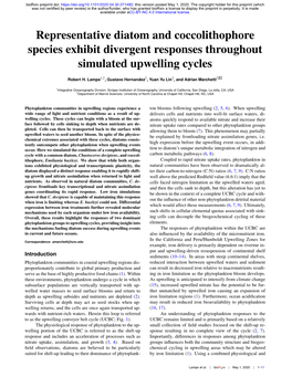 Representative Diatom and Coccolithophore Species Exhibit Divergent Responses Throughout Simulated Upwelling Cycles