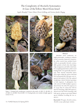 A Case of the Yellow Morel from Israel Segula Masaphy,* Limor Zabari, Doron Goldberg, and Gurinaz Jander-Shagug