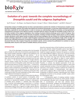 Evolution of a Pest: Towards the Complete Neuroethology of Drosophila Suzukii and the Subgenus Sophophora Ian W