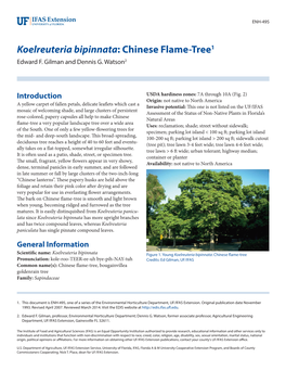Koelreuteria Bipinnata: Chinese Flame-Tree1 Edward F