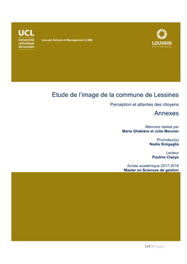 Etude De L'image De La Commune De Lessines Annexes