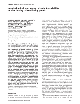 Impaired Retinal Function and Vitamin a Availability in Mice Lacking Retinol-Binding Protein