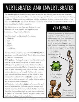 Vertebrates and Invertebrates