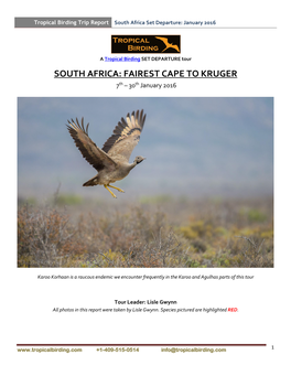 SOUTH AFRICA: FAIREST CAPE to KRUGER 7Th – 30Th January 2016