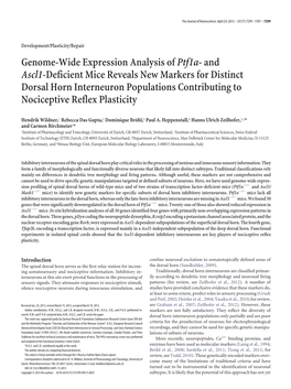 Genome-Wide Expression Analysis Ofptf1a- and Ascl1-Deficient Mice