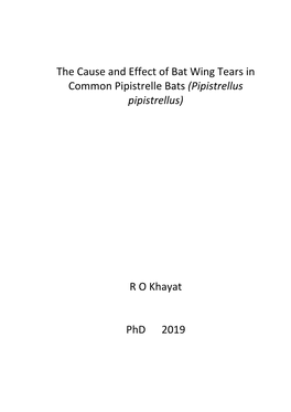 The Cause and Effect of Bat Wing Tears in Common Pipistrelle Bats (Pipistrellus Pipistrellus)