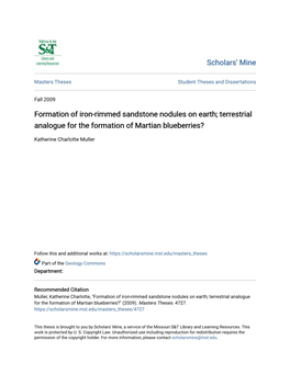 Formation of Iron-Rimmed Sandstone Nodules on Earth; Terrestrial Analogue for the Formation of Martian Blueberries?