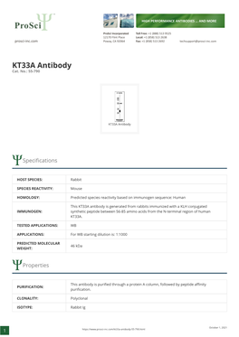 KT33A Antibody Cat