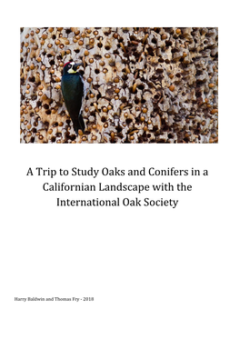 A Trip to Study Oaks and Conifers in a Californian Landscape with the International Oak Society