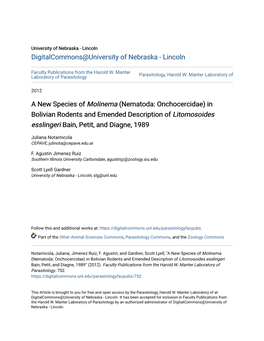 A New Species of Molinema (Nematoda: Onchocercidae) in Bolivian Rodents and Emended Description of Litomosoides Esslingeri Bain, Petit, and Diagne, 1989