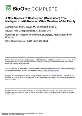 A New Species of Chaerephon (Molossidae) from Madagascar with Notes on Other Members of the Family