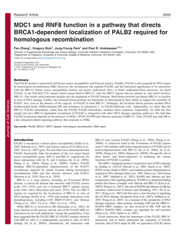 MDC1 and RNF8 Function in a Pathway That Directs BRCA1