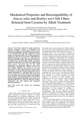 Bombyx Mori Silk Fibers Released from Cocoons by Alkali Treatment